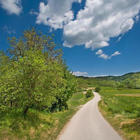 Villa Marija In Pekici Svetvincenat Bagian luar foto